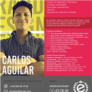 Profesor de dibujo muy adapto para todos con amplia experiencia en diseño